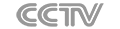 cctv logo